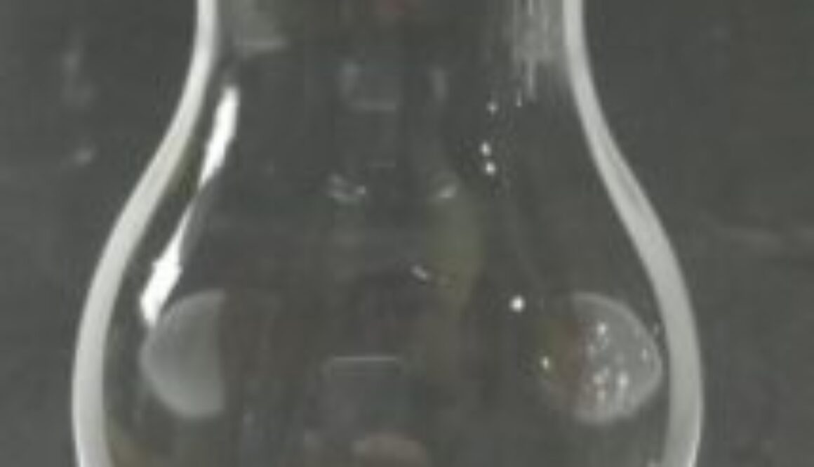 Botol pear 250ml